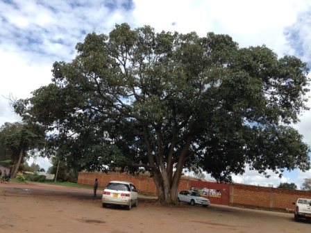 Ku Gasaka kwa Inarunyonga
